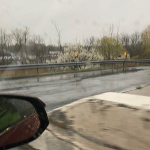 Meet your Posher, Gretel